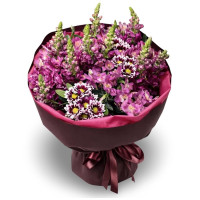 Lilac Delight