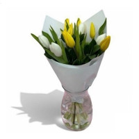 Bouquet of 9 tulips