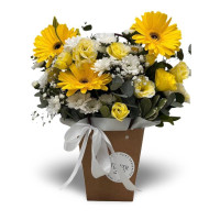 The composition "Sunny compliment"
