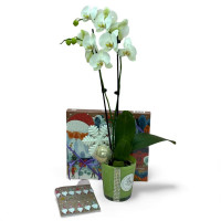 New Year's Gift Set