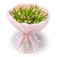 Bouquet of 65 pink tulips