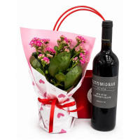 Gift Set with Red Wine