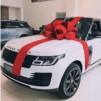 car decoration 2