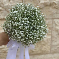חלומות בהירים