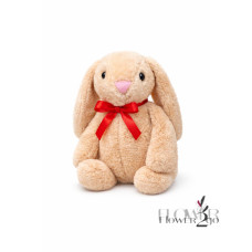 Little rabbit toy