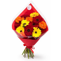 Bouquet of Gerber mix